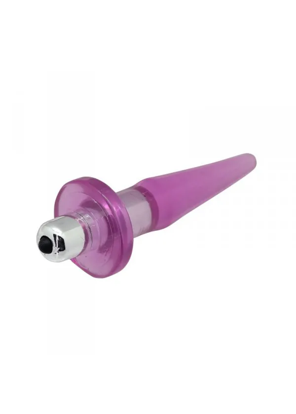 plug-vibr-anal-plug-w-on-off-vibe