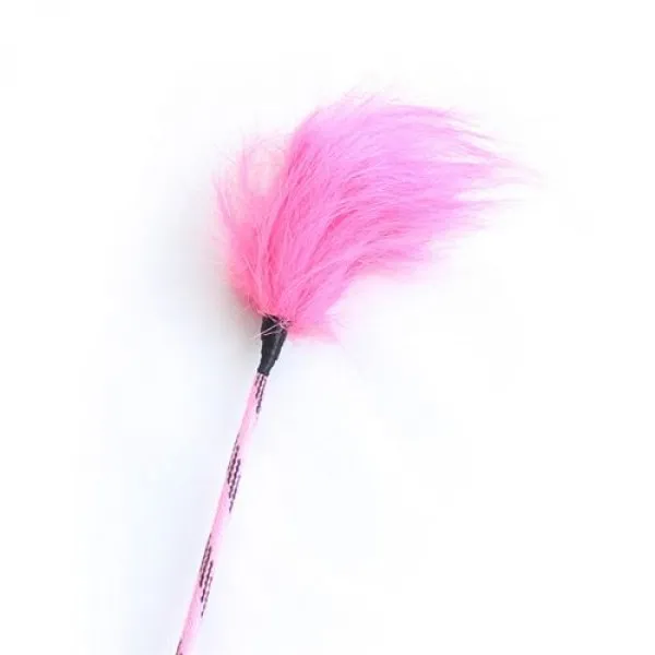 pejcz-pon-riding-crop-rosa