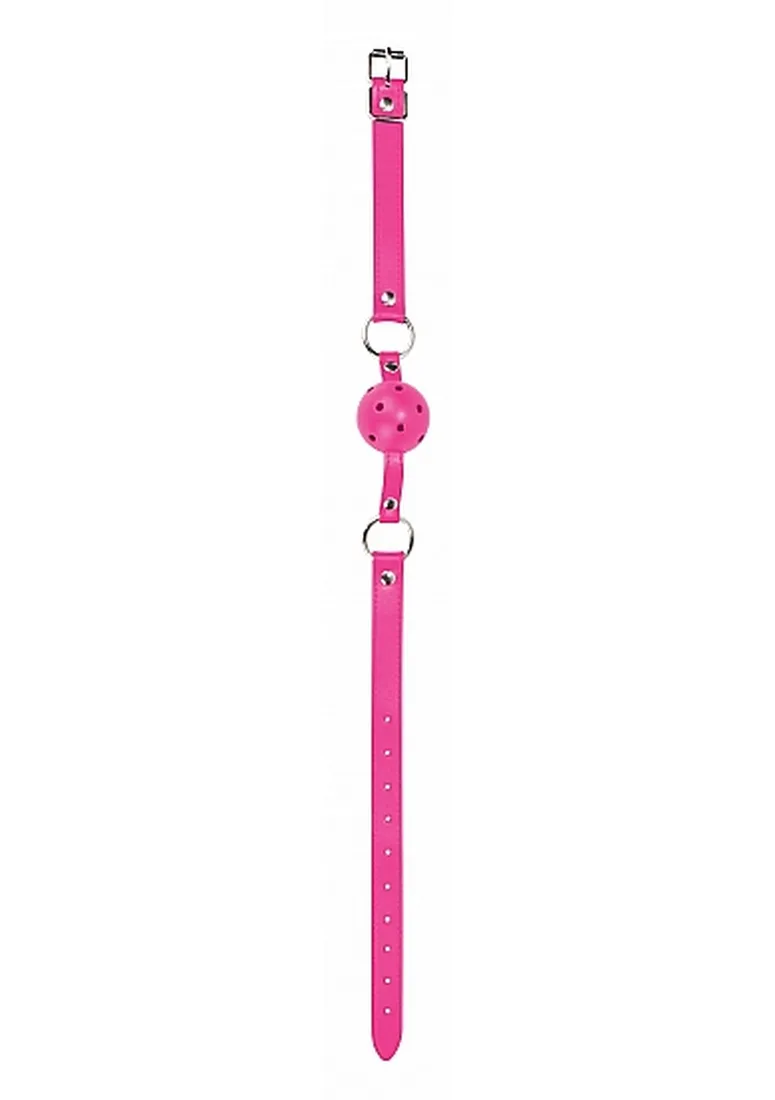 gag-ball-pink