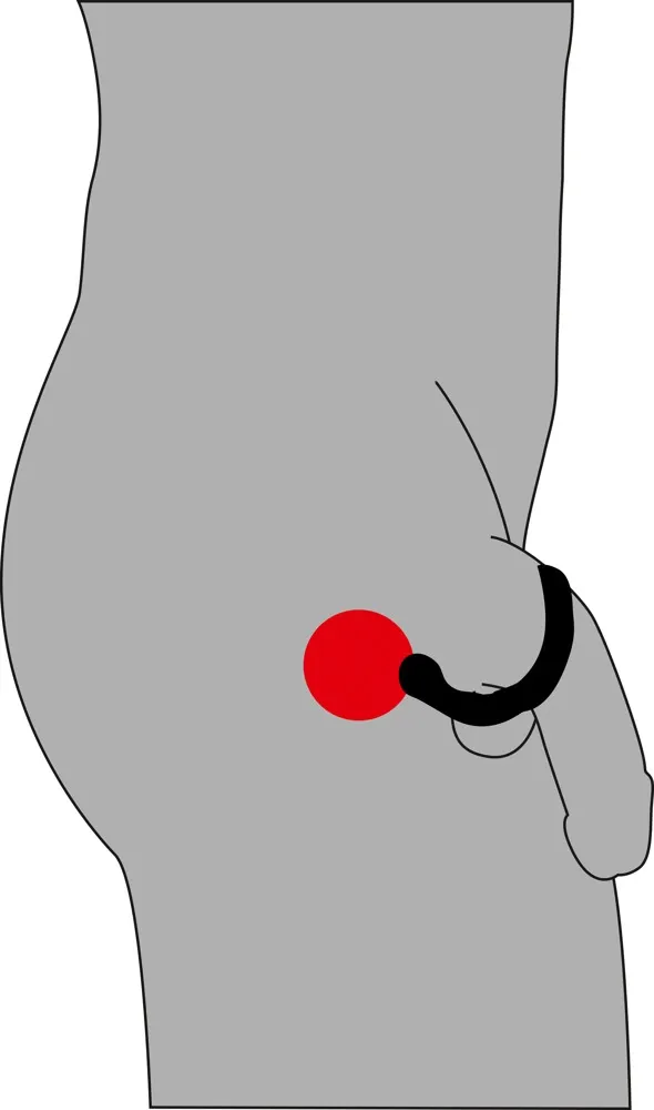 bv-cock-ring