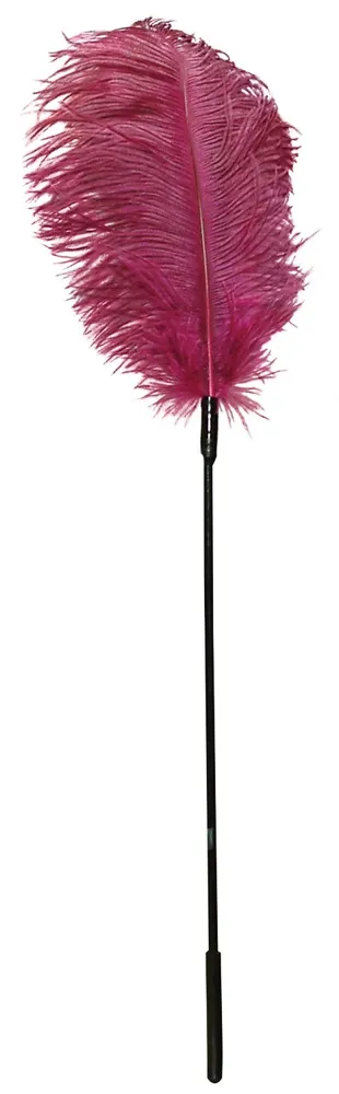 pink-feather