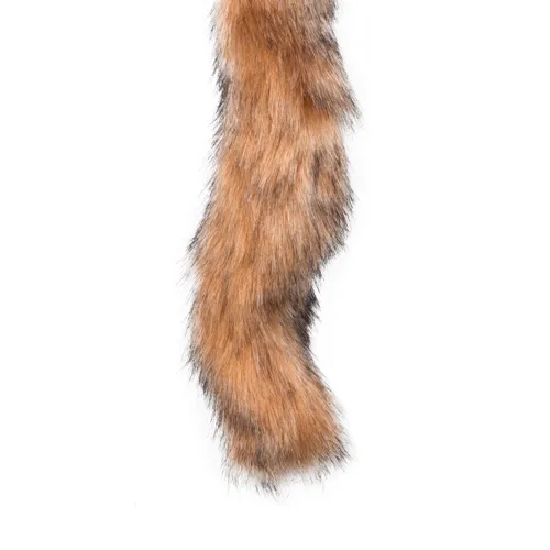 korek-lisi-ogon
