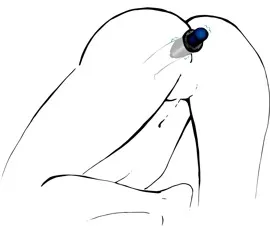 lust-tunnel-plug-m