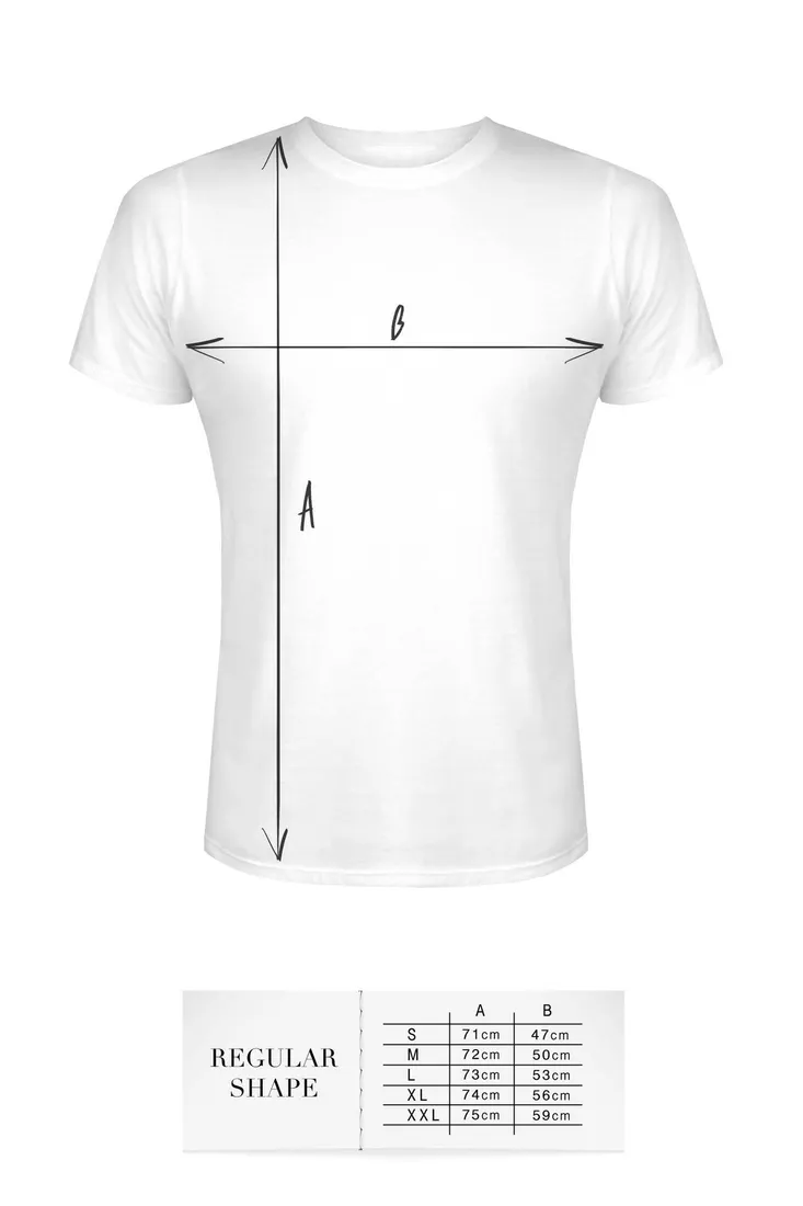 t-shirt-men-white-l-regular