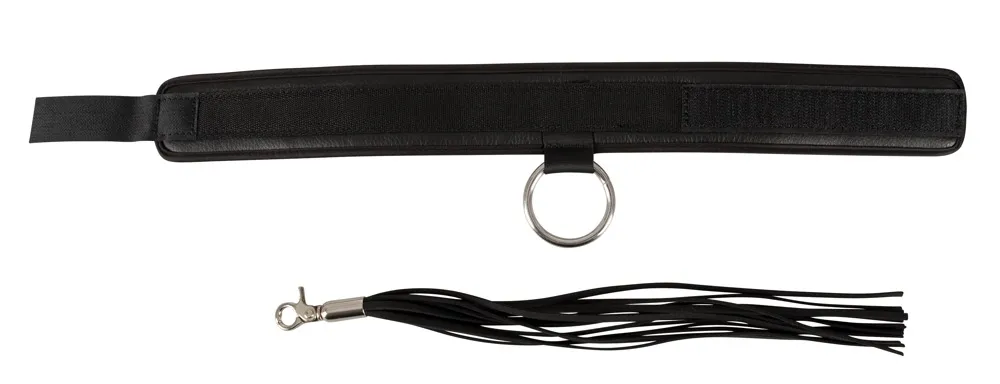 bad-kitty-collar-and-flogger