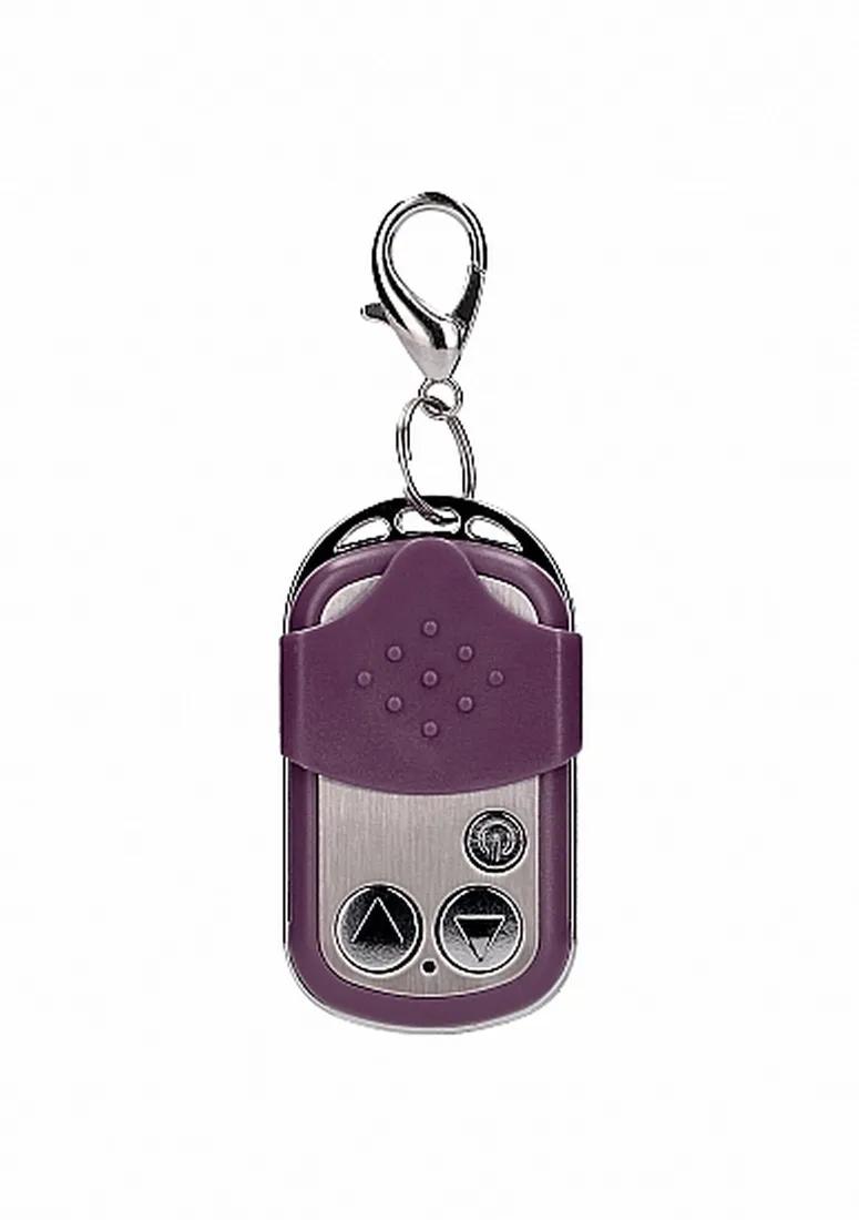 10-speed-remote-vibrating-egg-big-purple