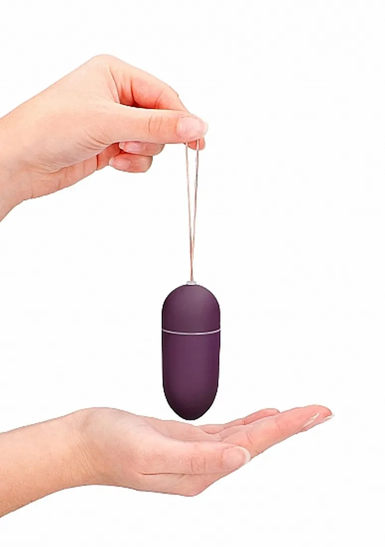 10-speed-remote-vibrating-egg-big-purple