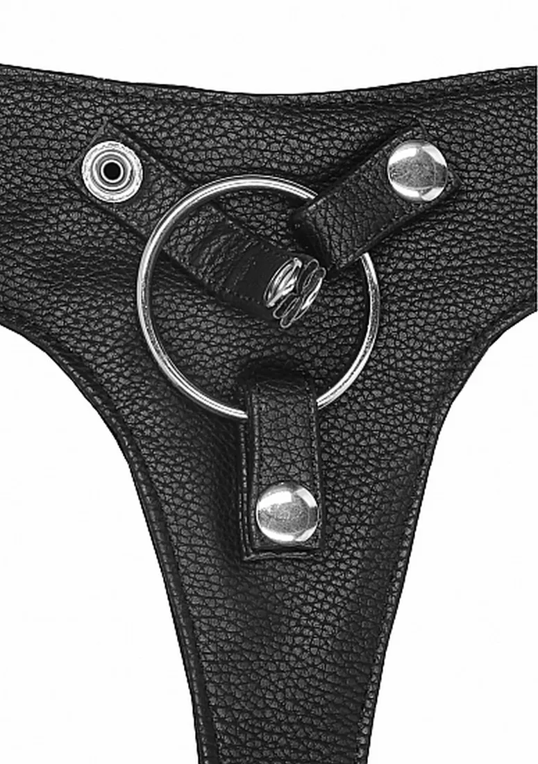 elastic-harness