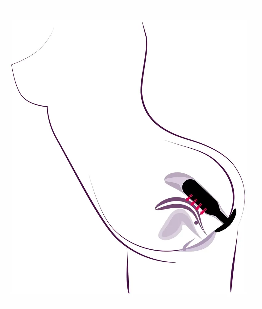 black-velvets-anal-trainer-lar