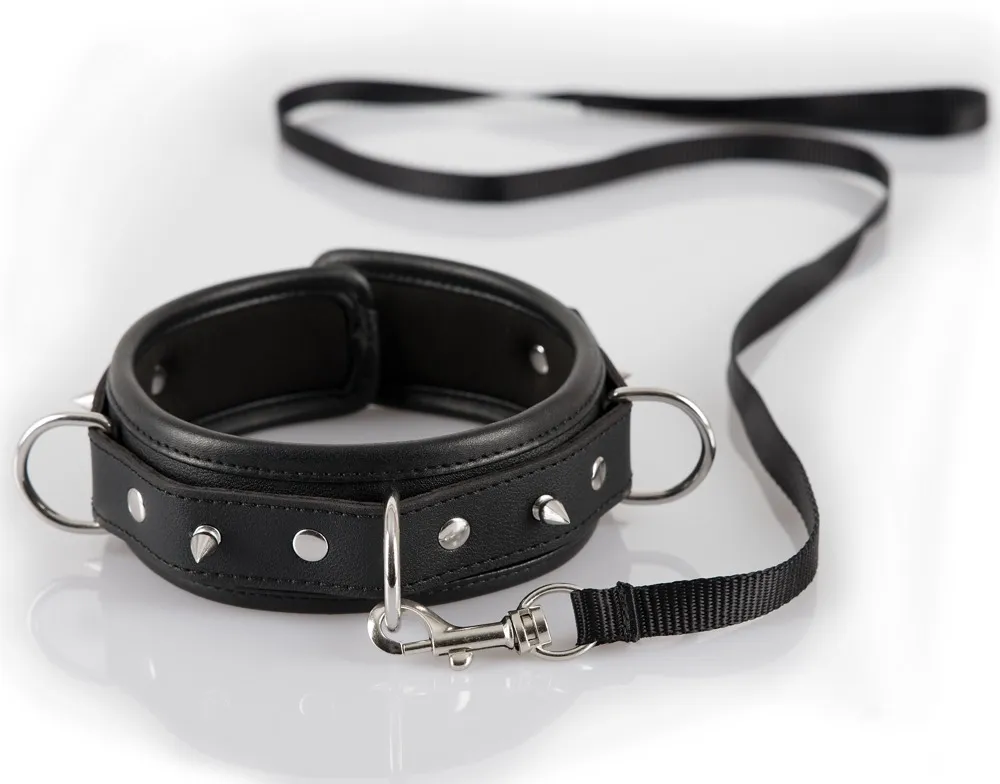 collar-leash