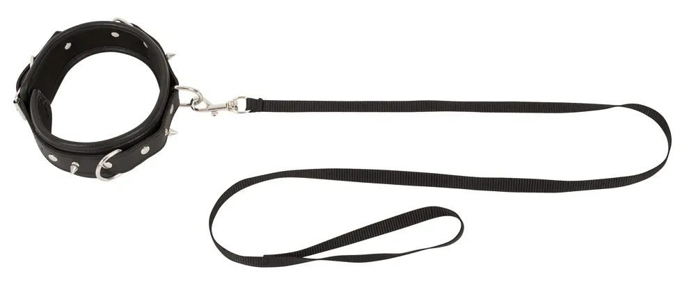 collar-leash