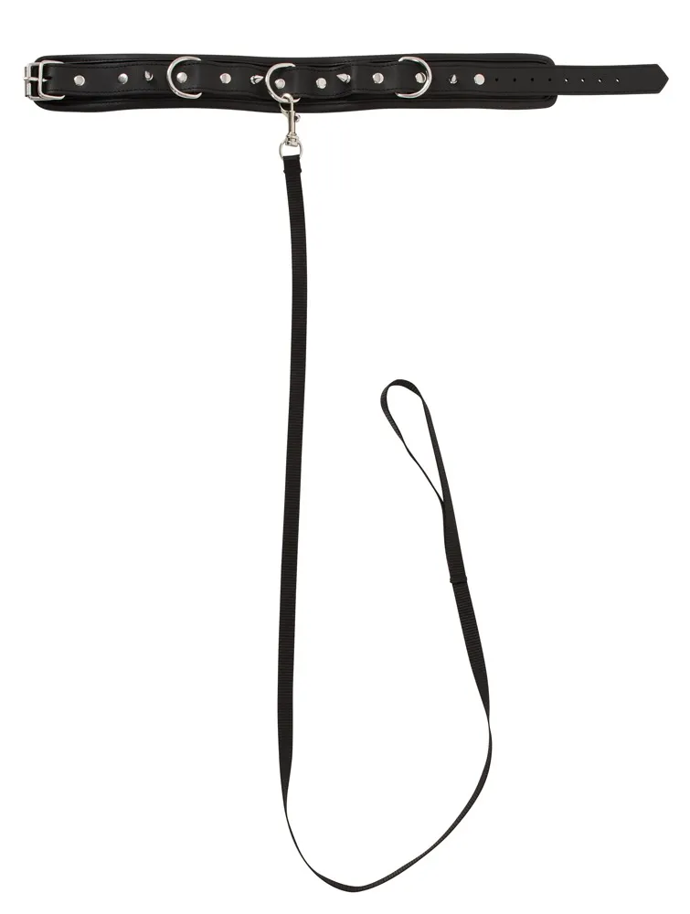 collar-leash