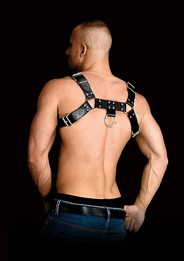 costas-solid-structure-2-black