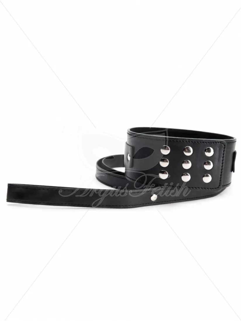 argus-large-corllar-with-leash