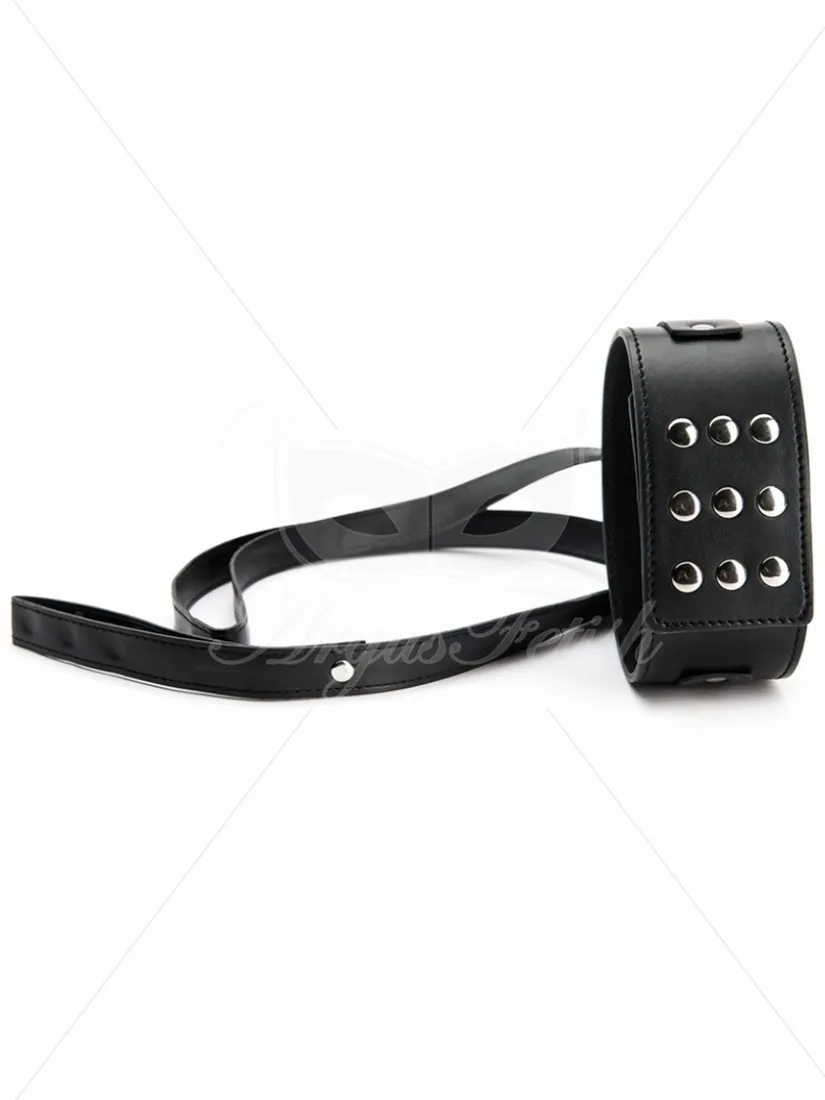 argus-large-corllar-with-leash