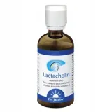 dr-jacobs-lactacholin-100ml-or-cholina-witamina-b