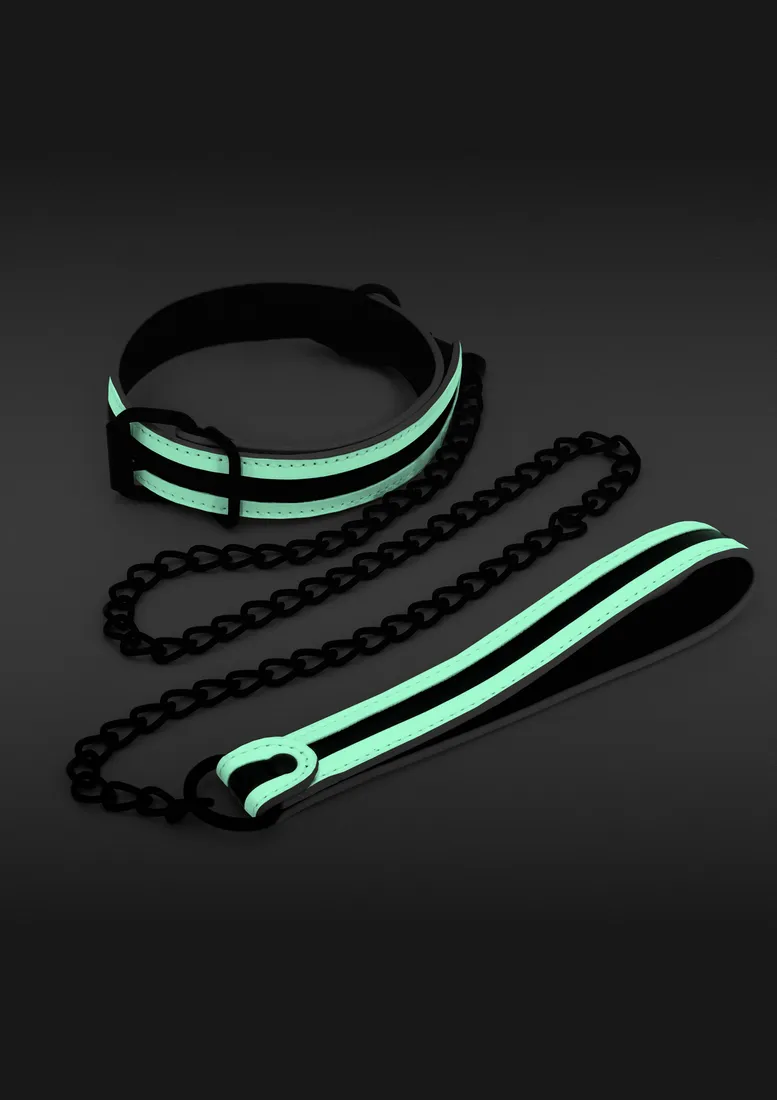 glo-collar-and-leash