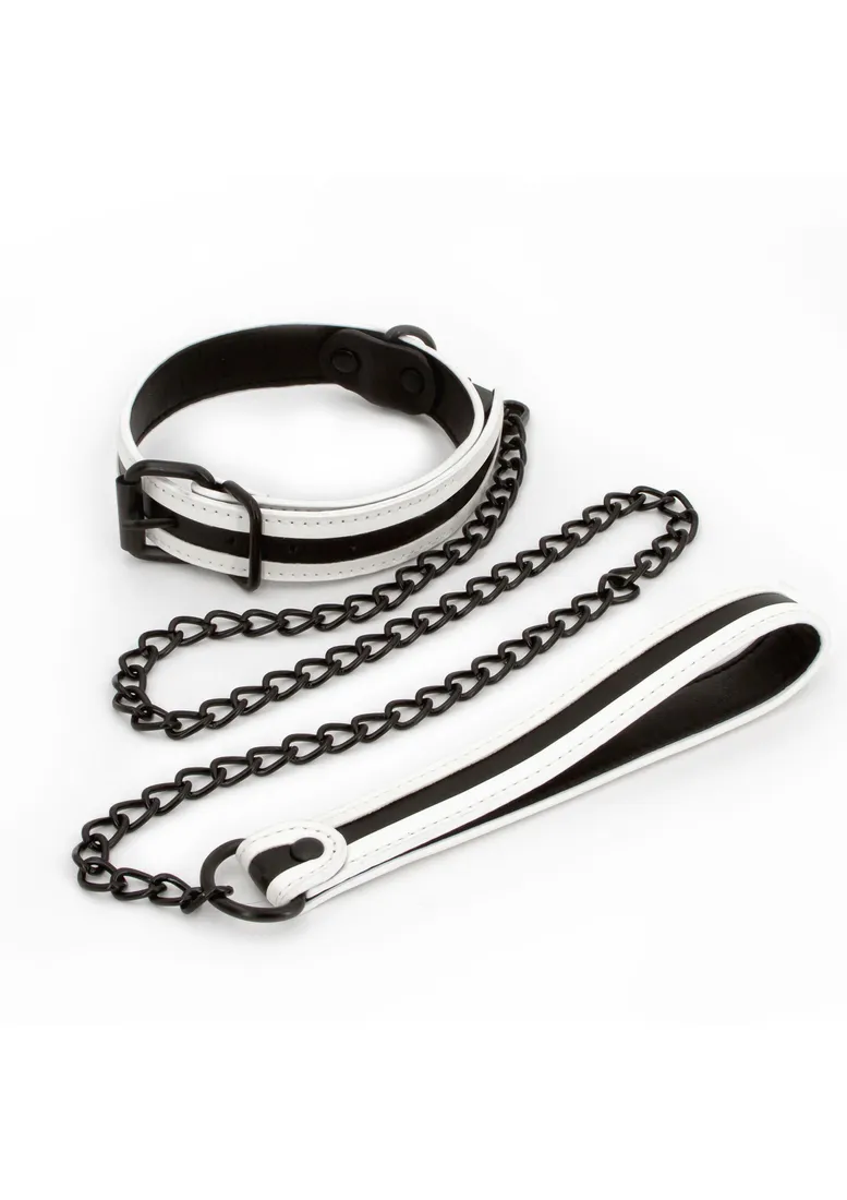glo-collar-and-leash