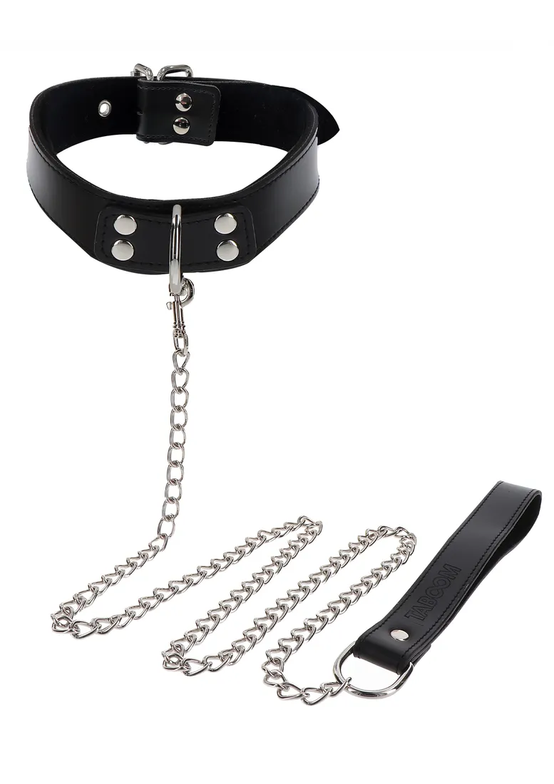 elegant-collar-and-chain-leash