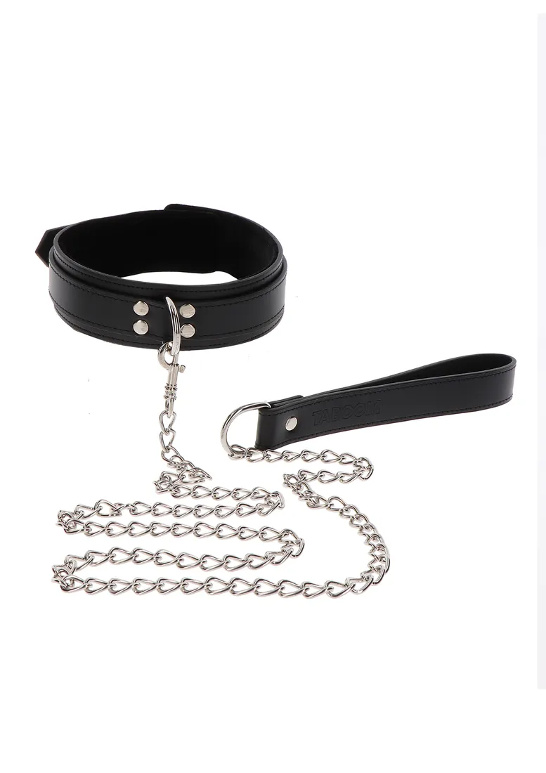 elegant-collar-and-chain-leash