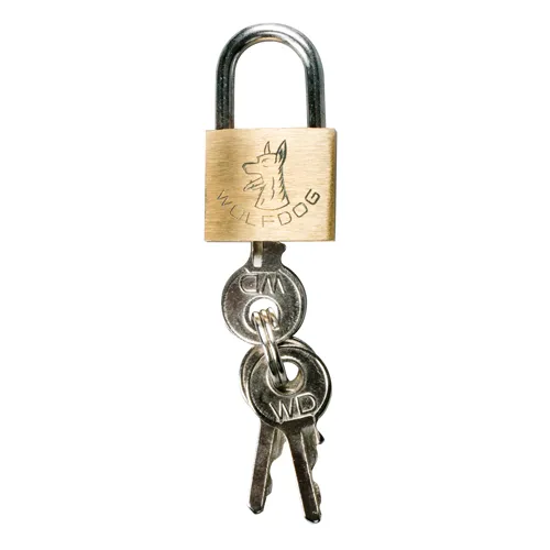 penis-cage-with-penis-plug