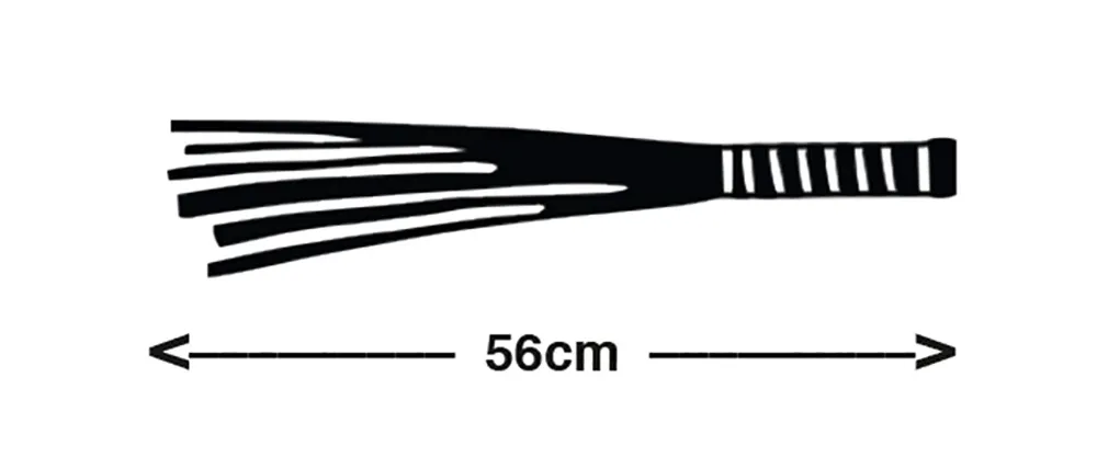 leather-flogger