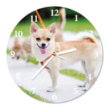 zegar-scienny-cichy-chihuahua-sr-30