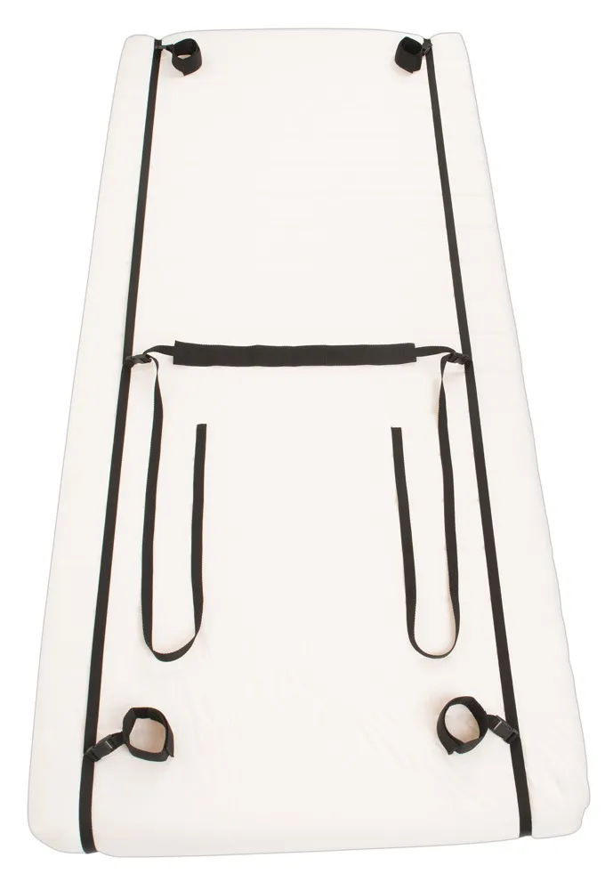 bad-kitty-door-andbed-restraints