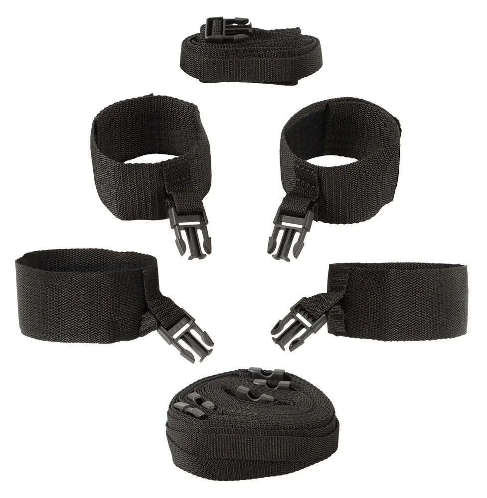bad-kitty-door-andbed-restraints