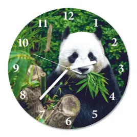 zegar-scienny-cichy-glodna-panda-sr-30