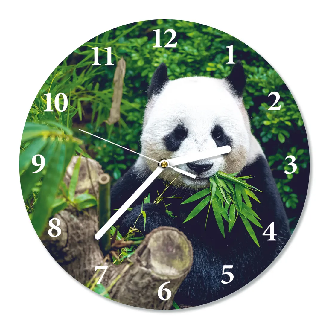 zegar-scienny-cichy-glodna-panda-sr-30