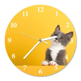zegar-scienny-cichy-kotek-sr-30