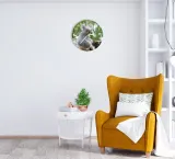 zegar-scienny-cichy-mis-koala-sr-30-stan-nowy