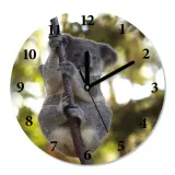 zegar-scienny-cichy-koala-sr-30