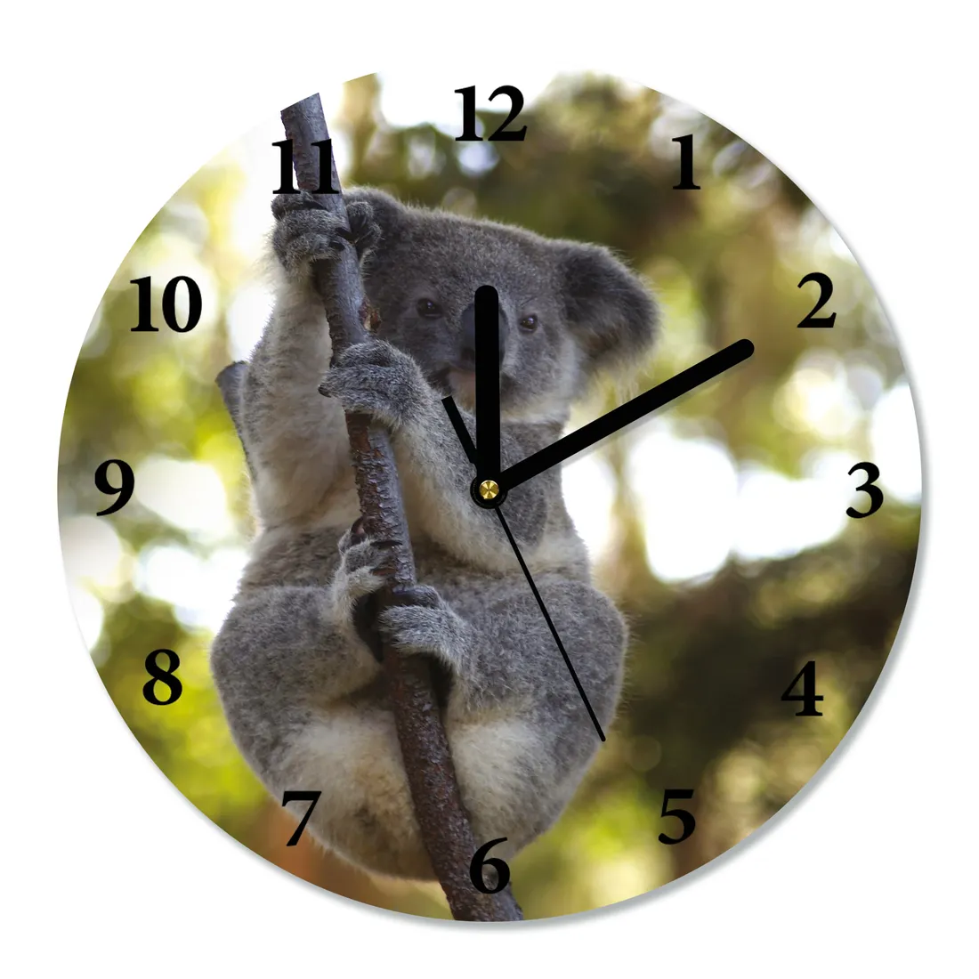 zegar-scienny-cichy-koala-sr-30