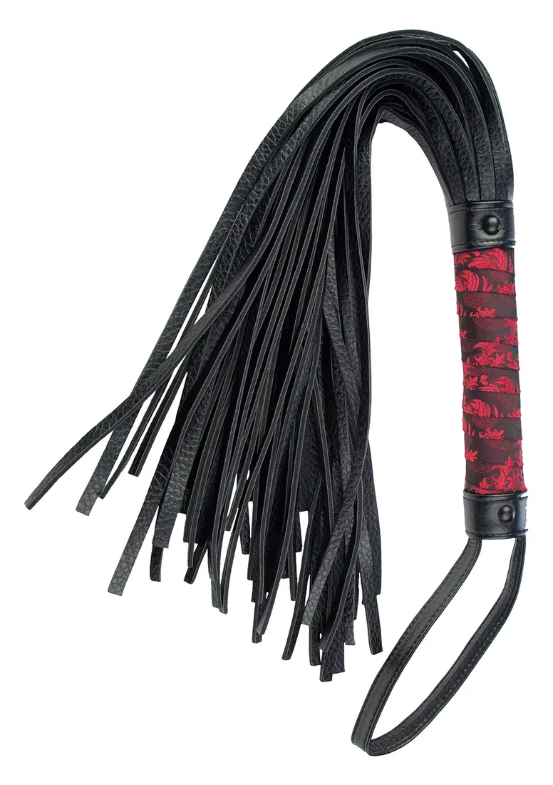 pejcz-scandal-flogger