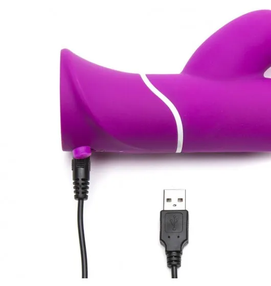 happy-rabbit-curve-rabbit-purple