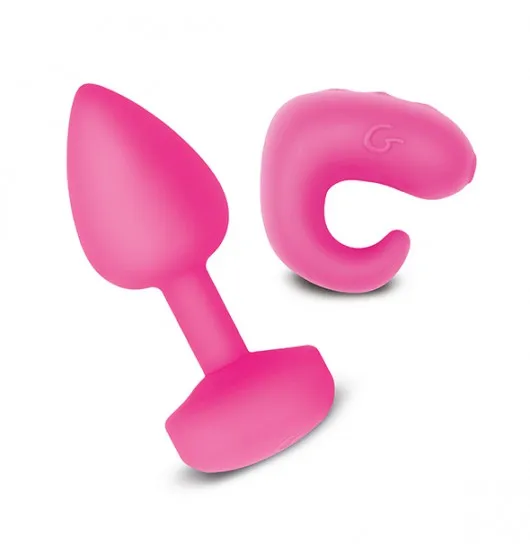 gvibe-gkit-sunny-raspberry