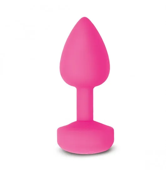 gvibe-gkit-sunny-raspberry