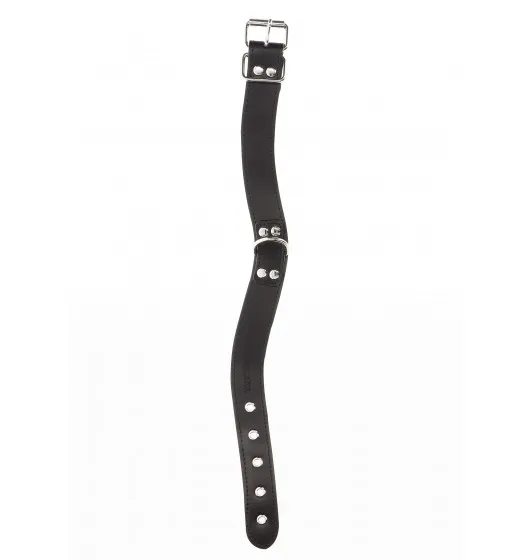 taboom-elegant-d-ring-collar-black