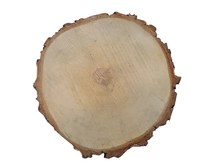 plastry-drewna-brzoza-30cm