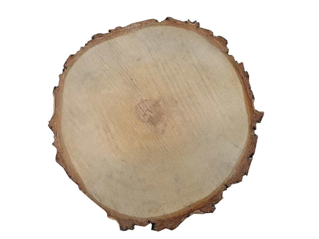 plastry-drewna-brzoza-30cm