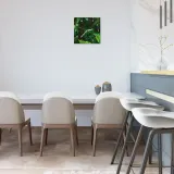 zegar-scienny-cichy-dzungla-30x30-marka-cosy-planet