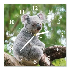 zegar-scienny-cichy-mis-koala-30x30