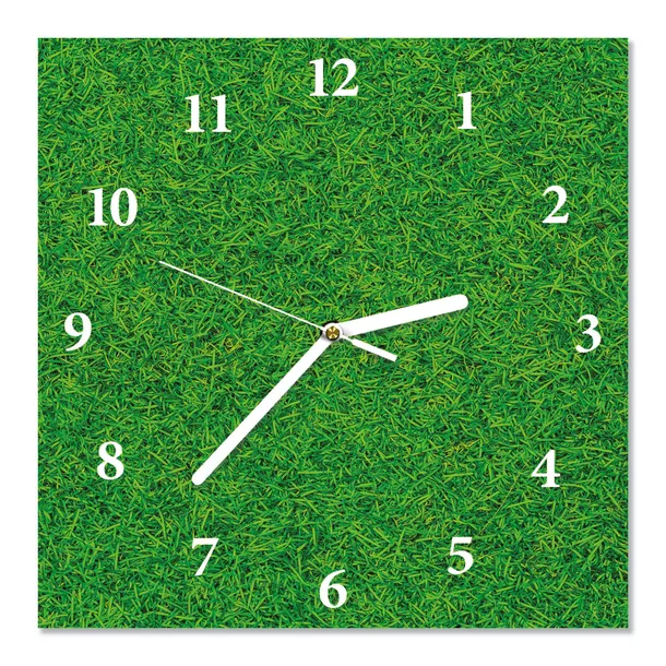 zegar-scienny-cichy-trawnik-30x30