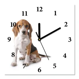 zegar-scienny-cichy-siedzacy-beagle-30x30