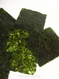 algi-nori-5szt