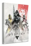 destiny-fireteam-obraz-na-plotnie-60x80-cm