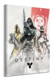 destiny-fireteam-obraz-na-plotnie-60x80-cm