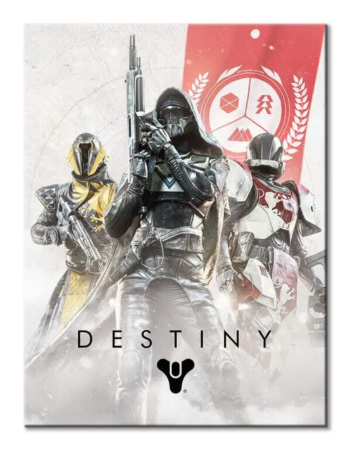 destiny-fireteam-obraz-na-plotnie-60x80-cm